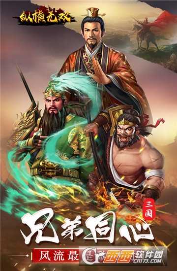 纵横无双折扣版