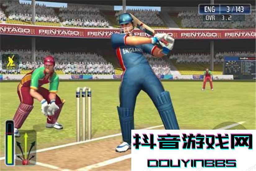 3D板球世界杯