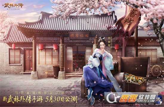 新武林外传变态版