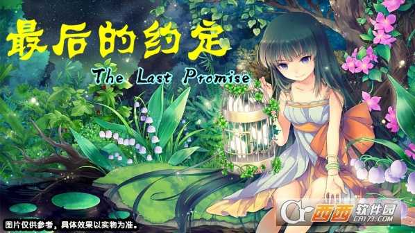 最后的约定九游版