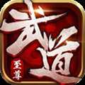 武道至尊星耀版(暂未上线)